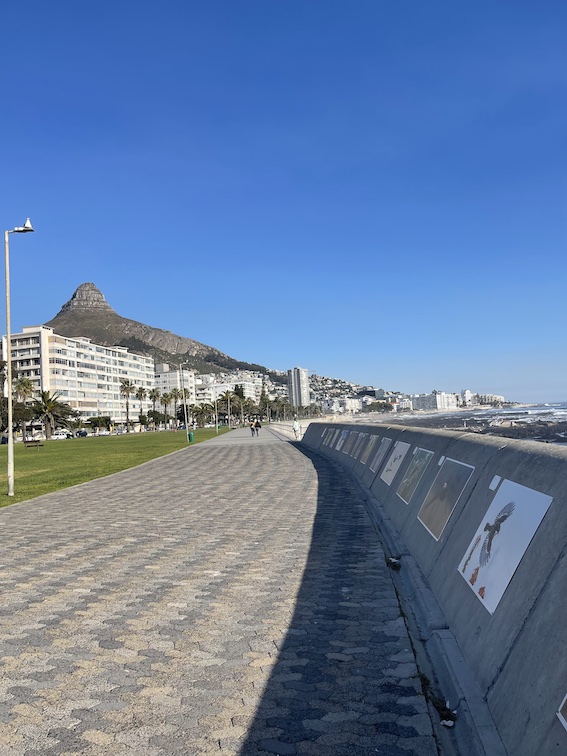 Sea Point promenade