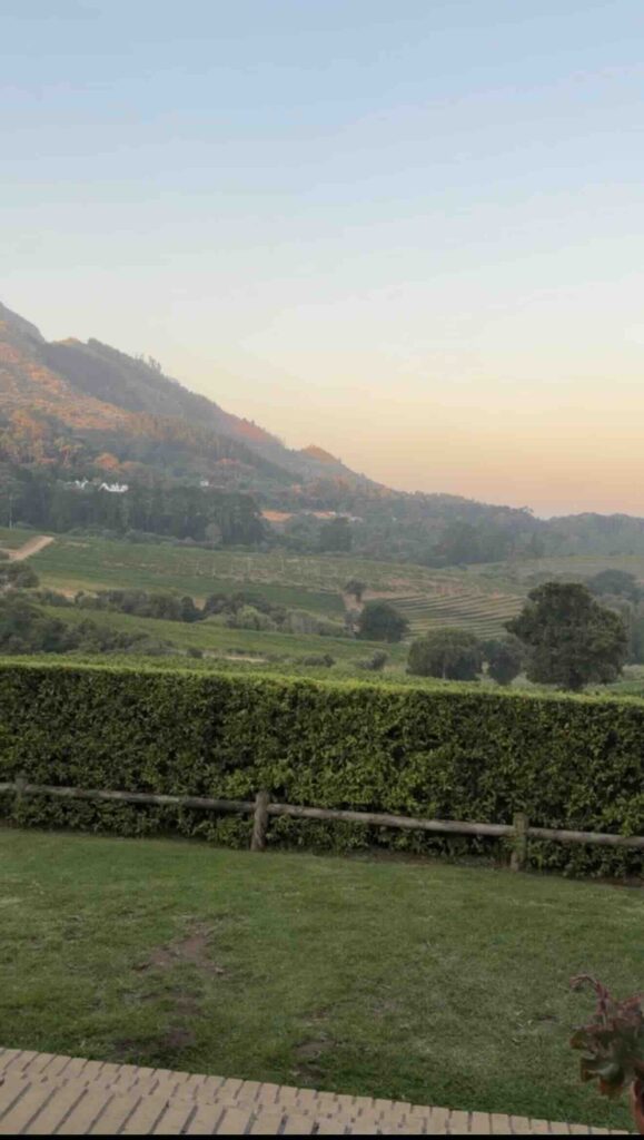 Constantia Glen sunset