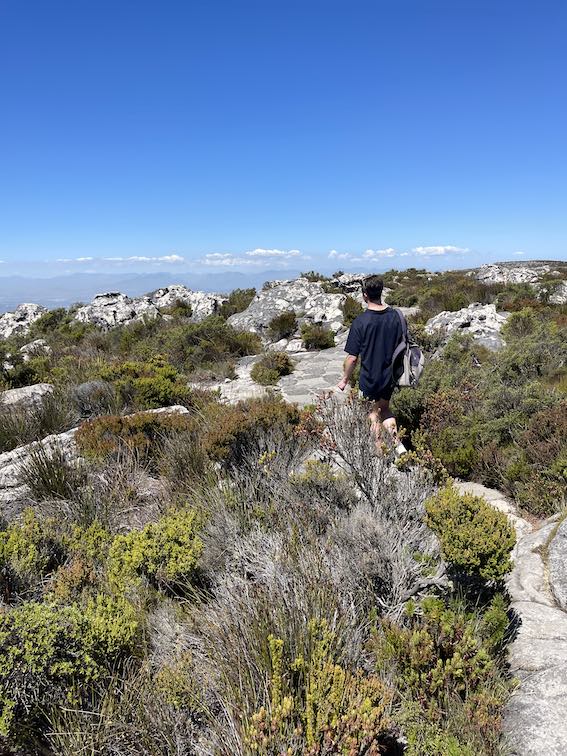 Liam exploring Table Mountain 