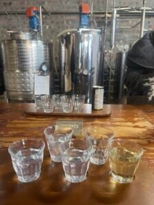 Gin tasting at Pienaar and Son