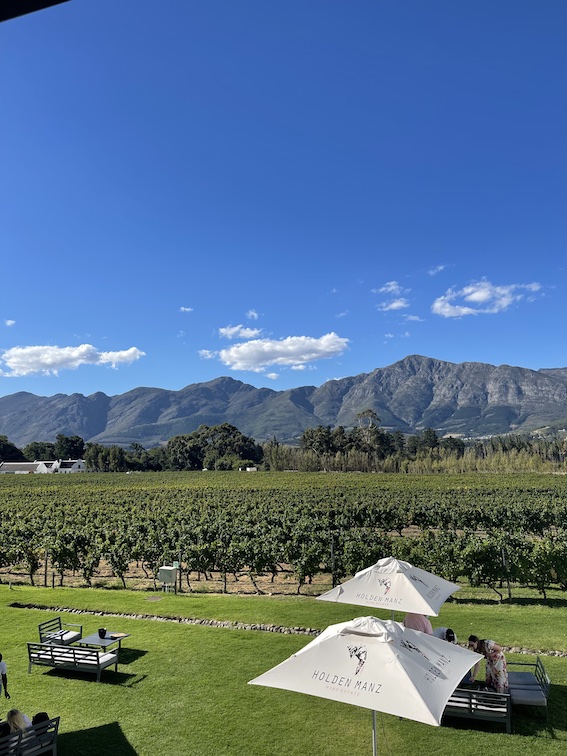 Holden Manz wine farm
