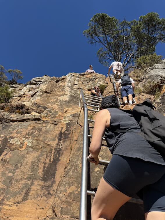 Olivia climbing Lion's Head