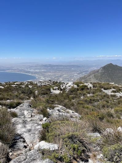 View from Table Mountain