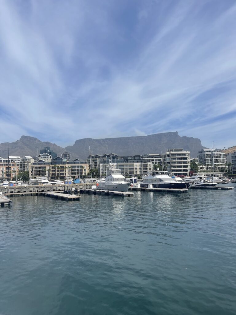 The harbour at the Waterfront with Table Mountain in the background