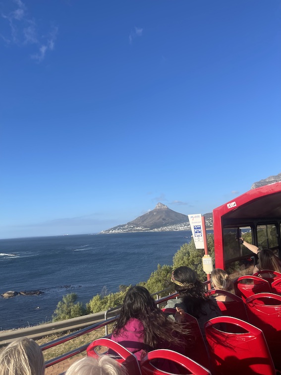 Constantia wine bus