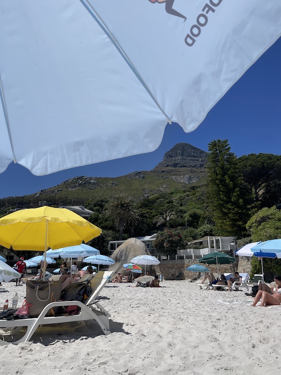 Guide to Visiting the Clifton Beaches - The Cape Town Blog