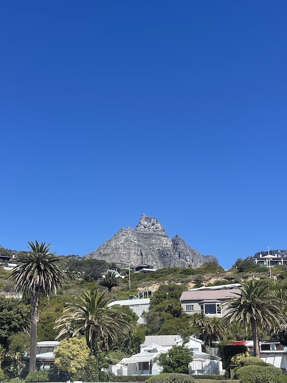 Lion's head from Clifton