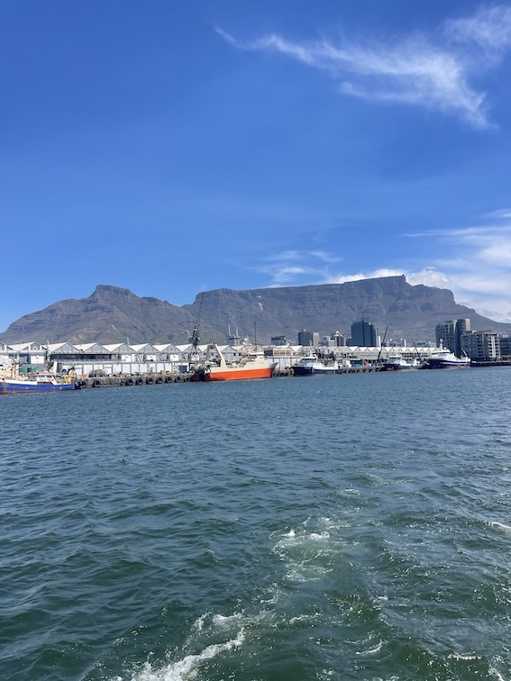 Table Mountain view from Waterfront boat cruise