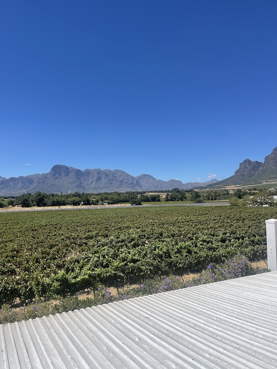 View from Vrede en Lust