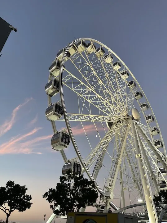 Cape Wheel at dusk