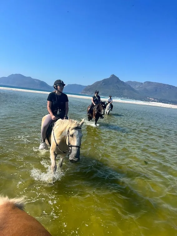 Horse riding group in the lagoon in Noordhoek