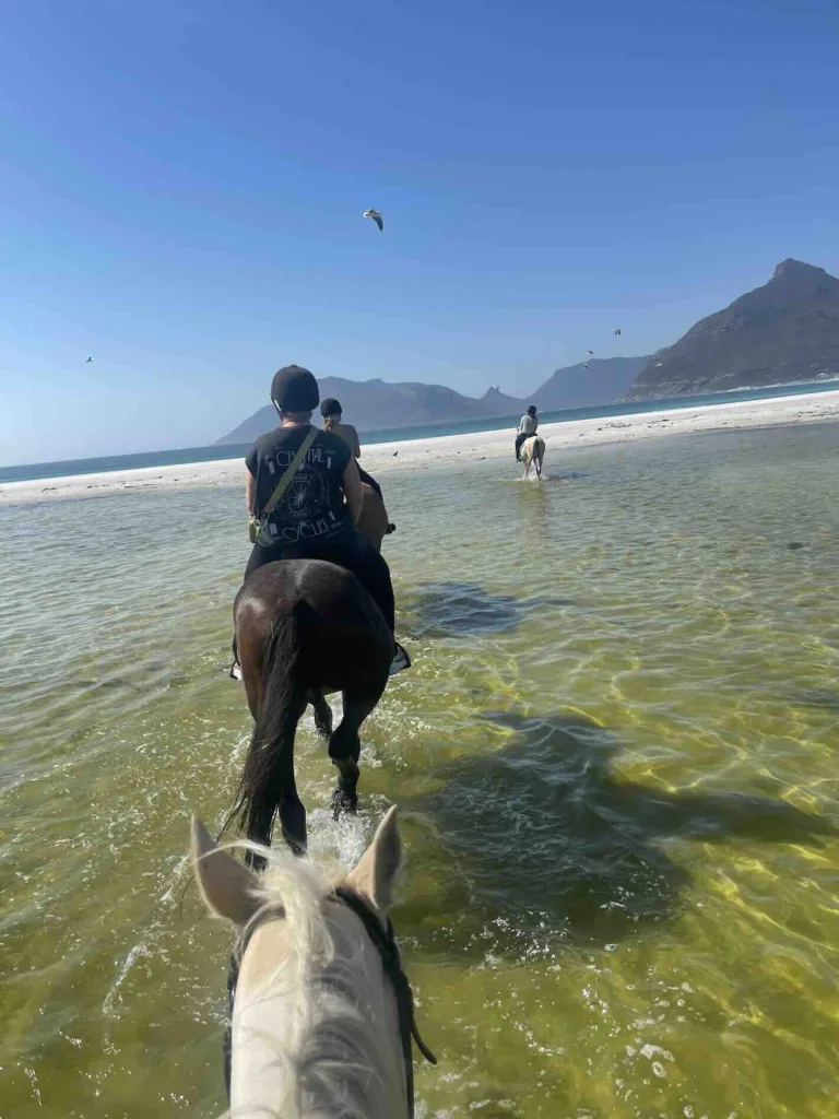 Horse riding through the lagoon