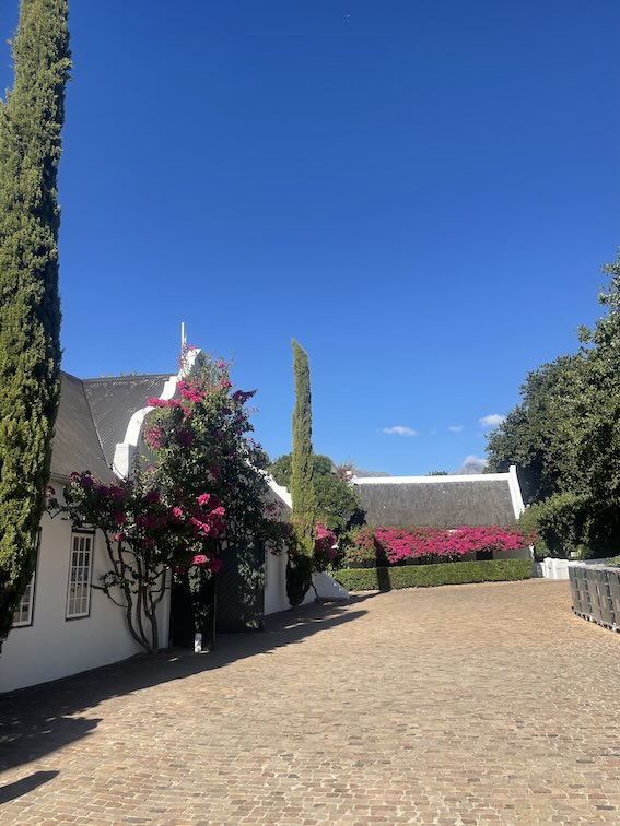 Peter Falke, Stellenbosch