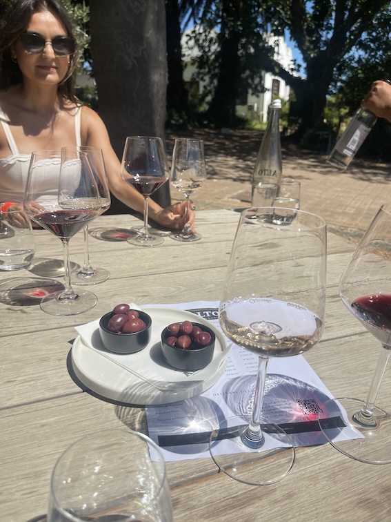 wine and olives at Alto