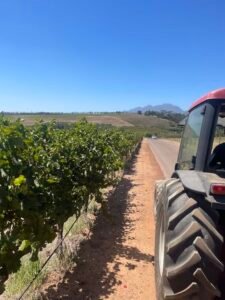 Wine tractor driving through Stellenbosch
