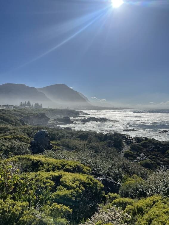 Cliff Path Hermanus