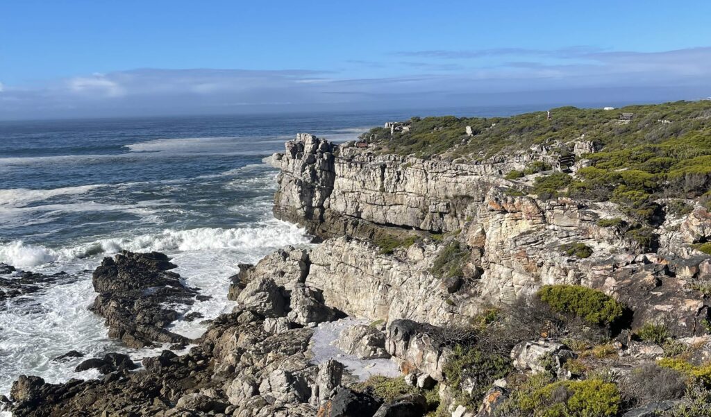 Things to do in Hermanus cover photo