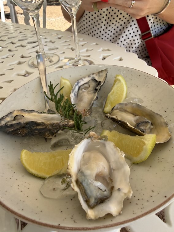 Oysters at Boschendal