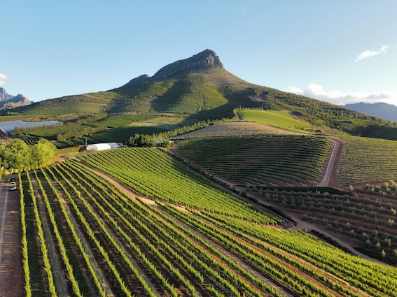 Stellenbosch views