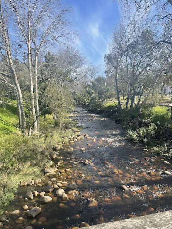 Stellenbosch stream