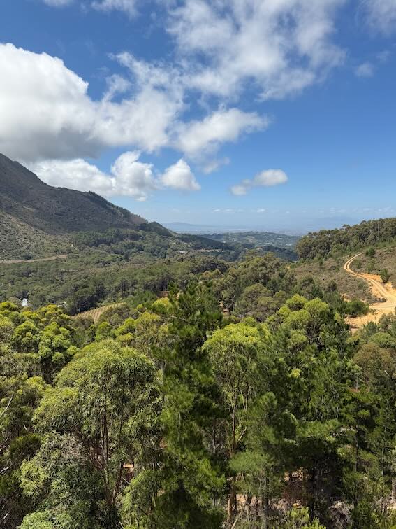Constantia zipline view