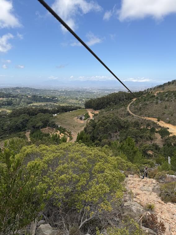 Zipline views